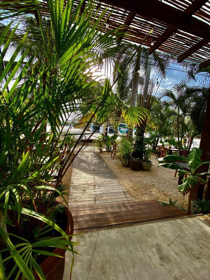 Tulum Townhouse By Amansala酒店 外观 照片